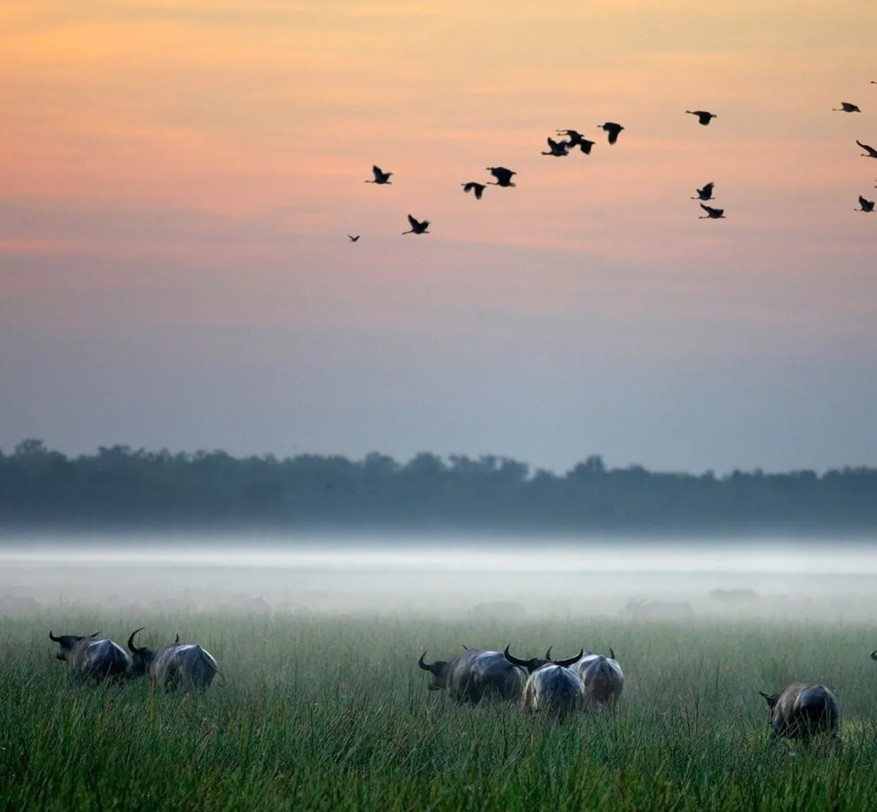 Luxury Stays and Eco-Lodges in and Around Kakadu National Park