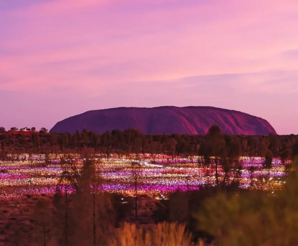 Protecting Uluru's Native Species