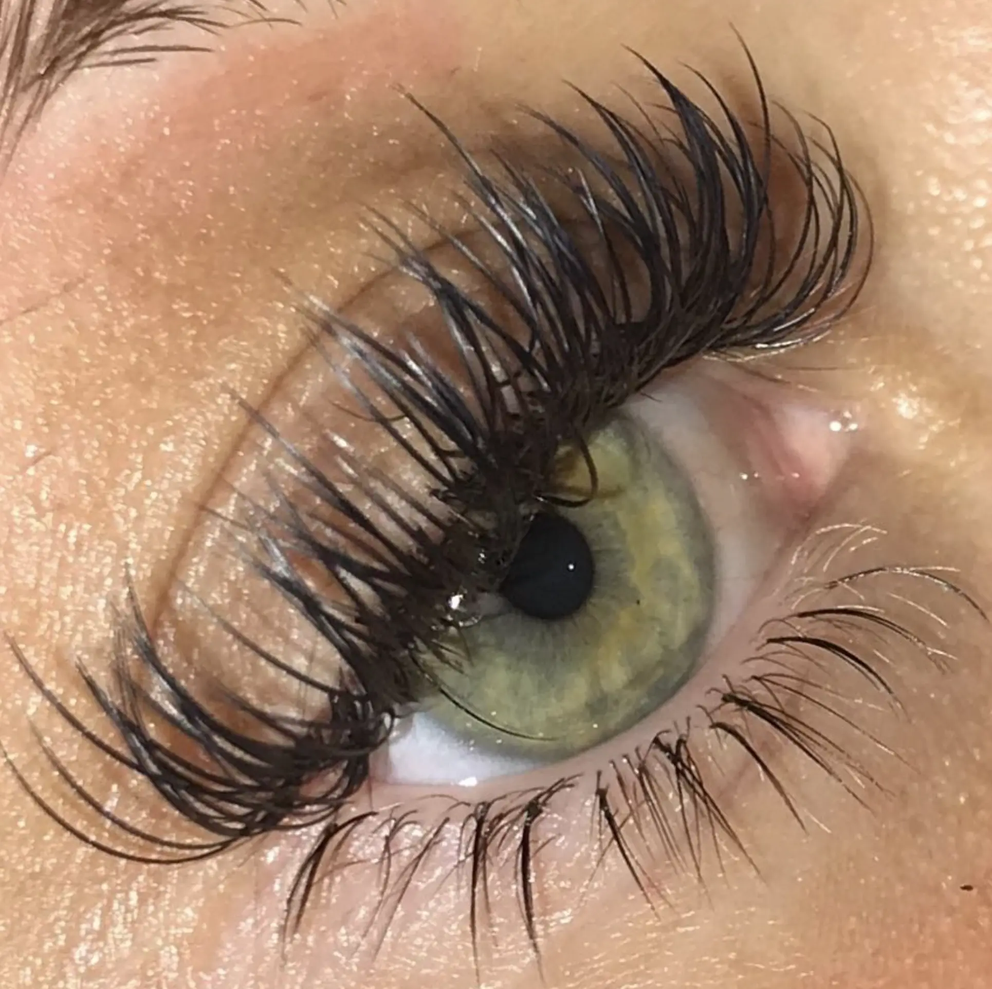 how long do eyelash extensions last