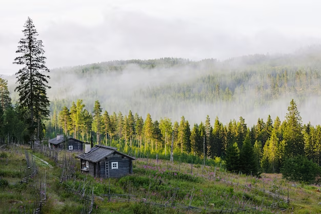 Luxury lodge in White Mountain National Forest - your ultimate accommodation choice